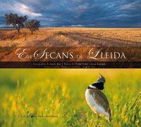 SECANS DE LLEIDA,ELS | 9788483305706 | BAS, JORDI/VIDAL, VIDAL/ESTRADA, JOAN | Llibreria La Puça | Llibreria online d'Arsèguel - Comprar llibres en català online - Llibres Andorra i Pirineu