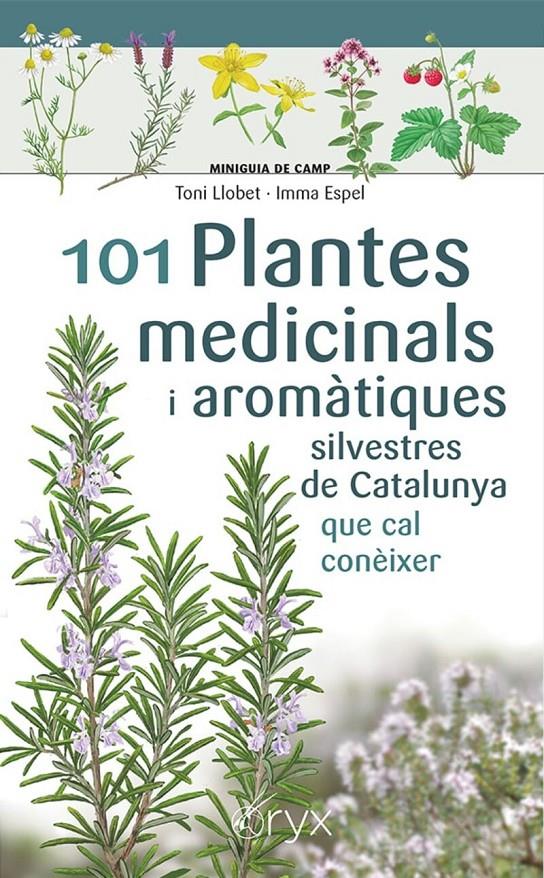 101 PLANTES MEDICINALS I AROMÀTIQUES SILVESTRES DE CATALUNYA | 9788413562209 | LLOBET | Llibreria La Puça | Llibreria online d'Arsèguel - Comprar llibres en català online - Llibres Andorra i Pirineu