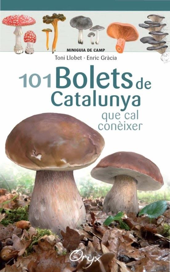 101 BOLETS DE CATALUNYA QUE CAL CONÈIXER | 9788490347096 | LLOBET, TONI - GRÀCIA, ENRIC | Llibreria La Puça | Llibreria online d'Arsèguel - Comprar llibres en català online - Llibres Andorra i Pirineu
