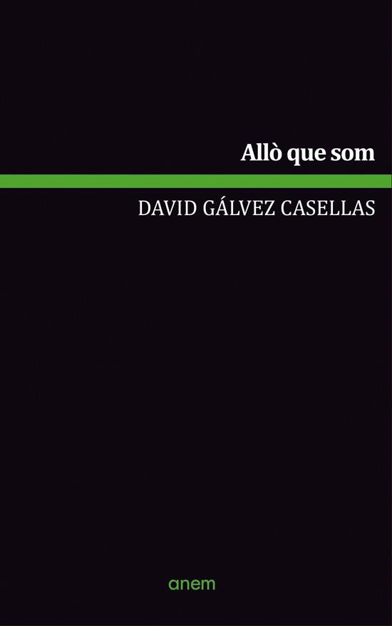 ALLÒ QUE SOM | 9789992065273 | GÁLVEZ CASELLAS, DAVID | Llibreria La Puça | Llibreria online d'Arsèguel - Comprar llibres en català online - Llibres Andorra i Pirineu