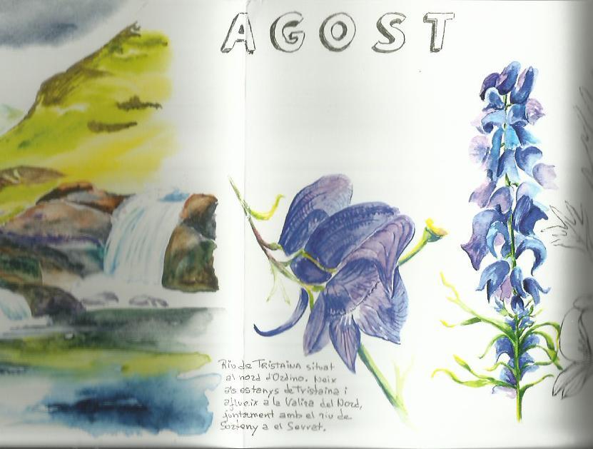 DIARI DE LA NATURA. AGOST. TRÍPTIC AQUAREL·LA | aquaagost | ORTEGA, ELISENDA | Llibreria La Puça | Llibreria online d'Arsèguel - Comprar llibres en català online - Llibres Andorra i Pirineu