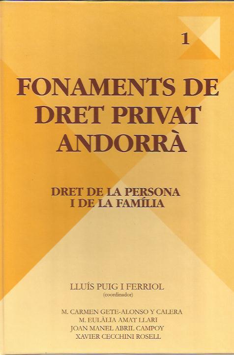 FONAMENTS DE DRET PRIVAT ANDORRÀ 1. DRET DE LA PERSONA I DE LA FAMÍLIA | 9789992057230 | PUIG I FERRIOL, LLUIS (COORD.) | Llibreria La Puça | Llibreria online d'Arsèguel - Comprar llibres en català online - Llibres Andorra i Pirineu