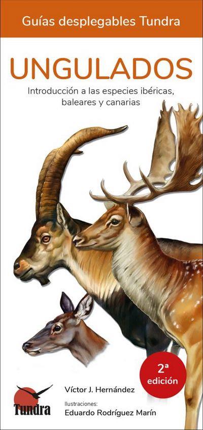UNGULADOS. DESPLEGABLE | 9788418458064 | HERNANDEZ, VÍCTOR J. | Llibreria La Puça | Llibreria online d'Arsèguel - Comprar llibres en català online - Llibres Andorra i Pirineu