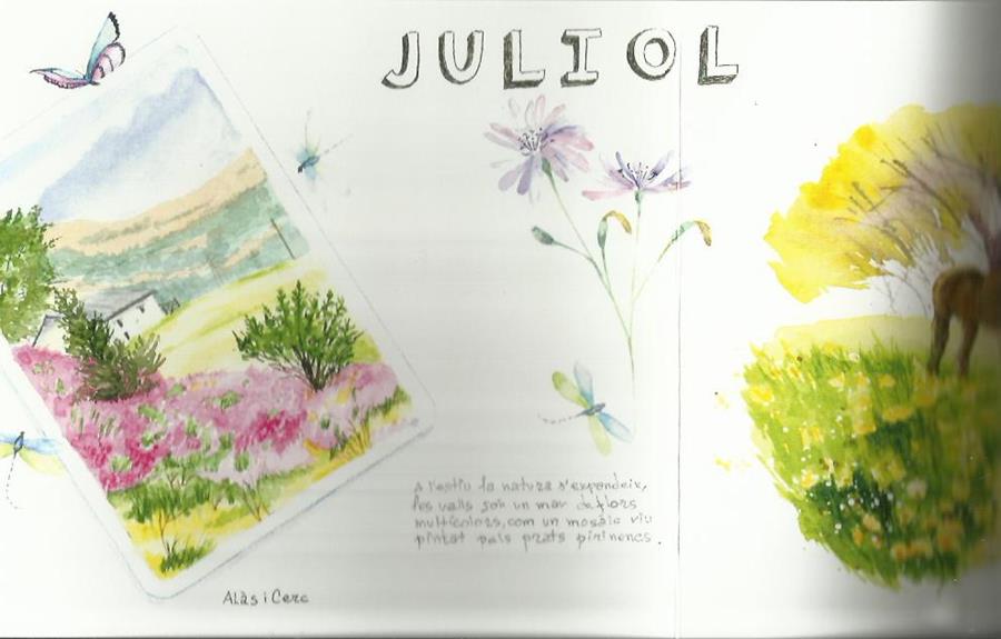 DIARI DE LA NATURA. JULIOL. TRÍPTIC AQUAREL·LA | AQUAJULIOL | ORTEGA, ELISENDA | Llibreria La Puça | Llibreria online d'Arsèguel - Comprar llibres en català online - Llibres Andorra i Pirineu