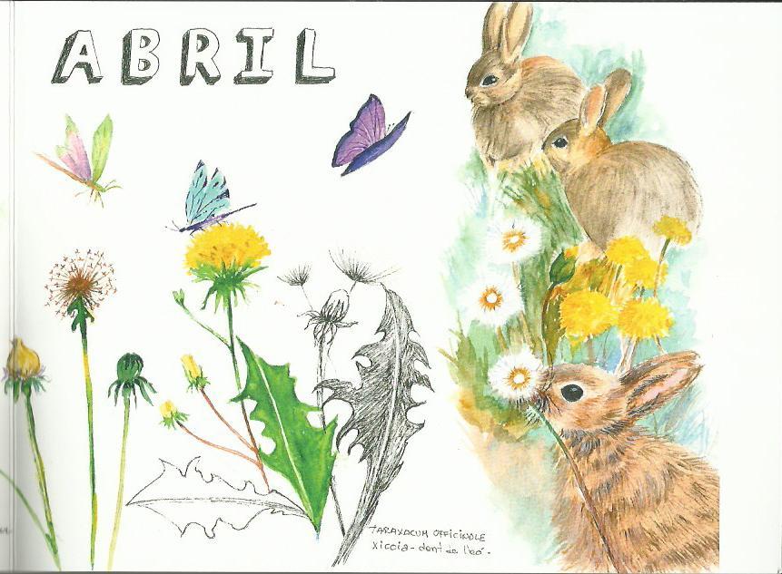 DIARI DE LA NATURA. ABRIL. TRÍPTIC AQUAREL·LA | AQUAABRIL | ORTEGA, ELISENDA | Llibreria La Puça | Llibreria online d'Arsèguel - Comprar llibres en català online - Llibres Andorra i Pirineu