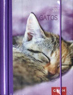 AGENDA GATOS 2017 | 8437012673397 | Llibreria La Puça | Llibreria online d'Arsèguel - Comprar llibres en català online - Llibres Andorra i Pirineu