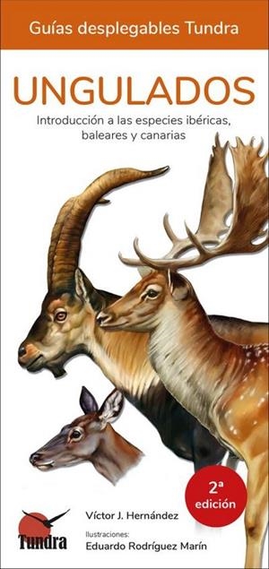 UNGULADOS. DESPLEGABLE | 9788418458064 | HERNANDEZ, VÍCTOR J. | Llibreria La Puça | Llibreria online d'Arsèguel - Comprar llibres en català online - Llibres Andorra i Pirineu