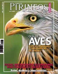 GUÍA DE AVES .ESPECIAL PIRINEOS 11 | 9788482164922 | Llibreria La Puça | Llibreria online d'Arsèguel - Comprar llibres en català online - Llibres Andorra i Pirineu
