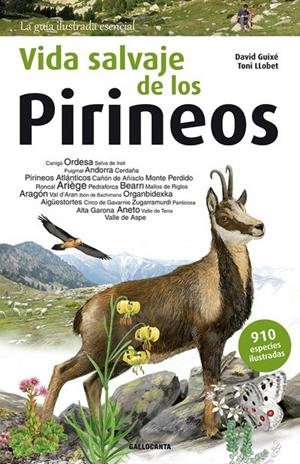 VIDA SALVAJE DE LOS PIRINEOS | 9788415885542 | GUIXÉ, DAVID - LLOBET, TONI | Llibreria La Puça | Llibreria online d'Arsèguel - Comprar llibres en català online - Llibres Andorra i Pirineu