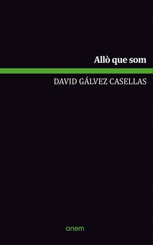 ALLÒ QUE SOM | 9789992065273 | GÁLVEZ CASELLAS, DAVID | Llibreria La Puça | Llibreria online d'Arsèguel - Comprar llibres en català online - Llibres Andorra i Pirineu