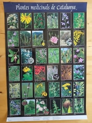 PLANTES MEDICINALS DE CATALUNYA (1). PÓSTER | 5672001 | AGELET, ANTONI | Llibreria La Puça | Llibreria online d'Arsèguel - Comprar llibres en català online - Llibres Andorra i Pirineu
