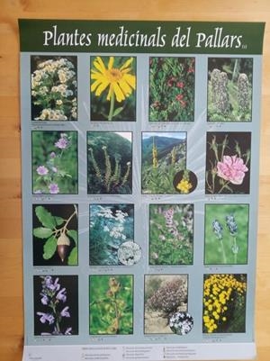 PLANTES MEDICINALS DEL PALLARS (1). PÓSTER | 5662001 | AGELET, ANTONI | Llibreria La Puça | Llibreria online d'Arsèguel - Comprar llibres en català online - Llibres Andorra i Pirineu
