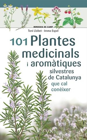 101 PLANTES MEDICINALS I AROMÀTIQUES SILVESTRES DE CATALUNYA | 9788413562209 | LLOBET | Llibreria La Puça | Llibreria online d'Arsèguel - Comprar llibres en català online - Llibres Andorra i Pirineu