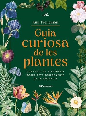 GUIA CURIOSA DE LES PLANTES | 9788413565354 | TRENEMAN | Llibreria La Puça | Llibreria online d'Arsèguel - Comprar llibres en català online - Llibres Andorra i Pirineu