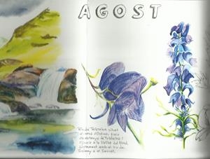 DIARI DE LA NATURA. AGOST. TRÍPTIC AQUAREL·LA | aquaagost | ORTEGA, ELISENDA | Llibreria La Puça | Llibreria online d'Arsèguel - Comprar llibres en català online - Llibres Andorra i Pirineu