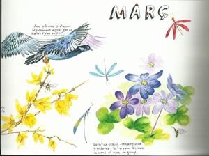 DIARI DE LA NATURA. MARÇ. TRÍPTIC AQUAREL·LA | AQUAMARÇ | ORTEGA, ELISENDA | Llibreria La Puça | Llibreria online d'Arsèguel - Comprar llibres en català online - Llibres Andorra i Pirineu